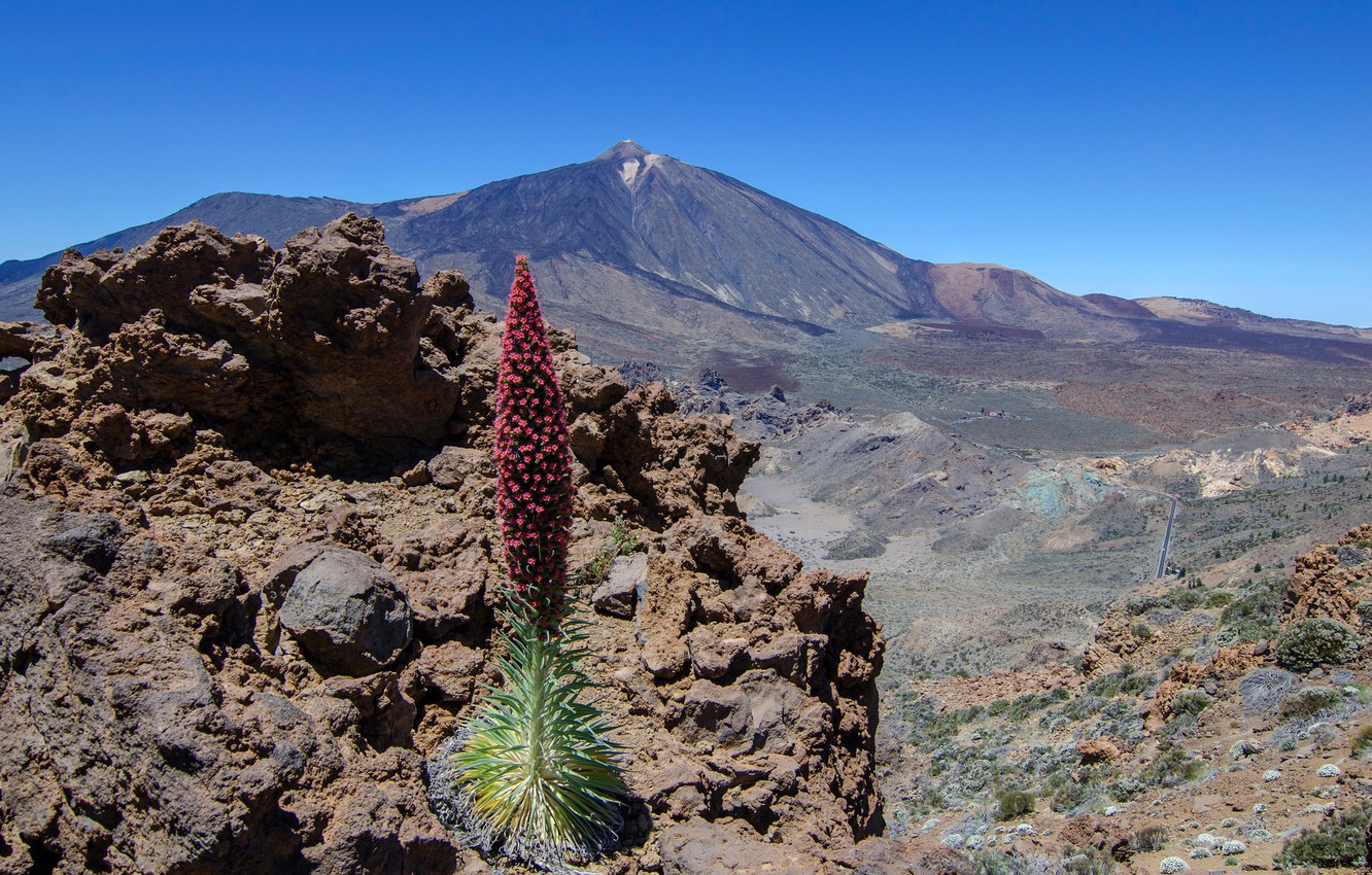 La Meteorología y el problema del agua en Canarias